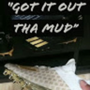 Meet your Posher, Dimitrius